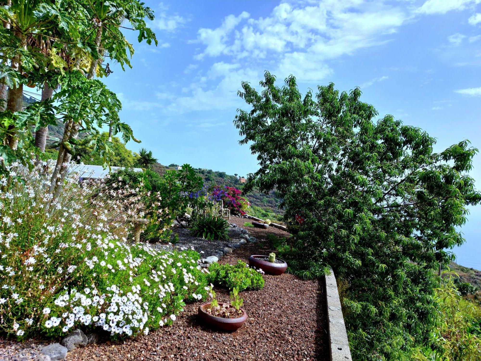 Villa Eloina Barlovento Exterior foto
